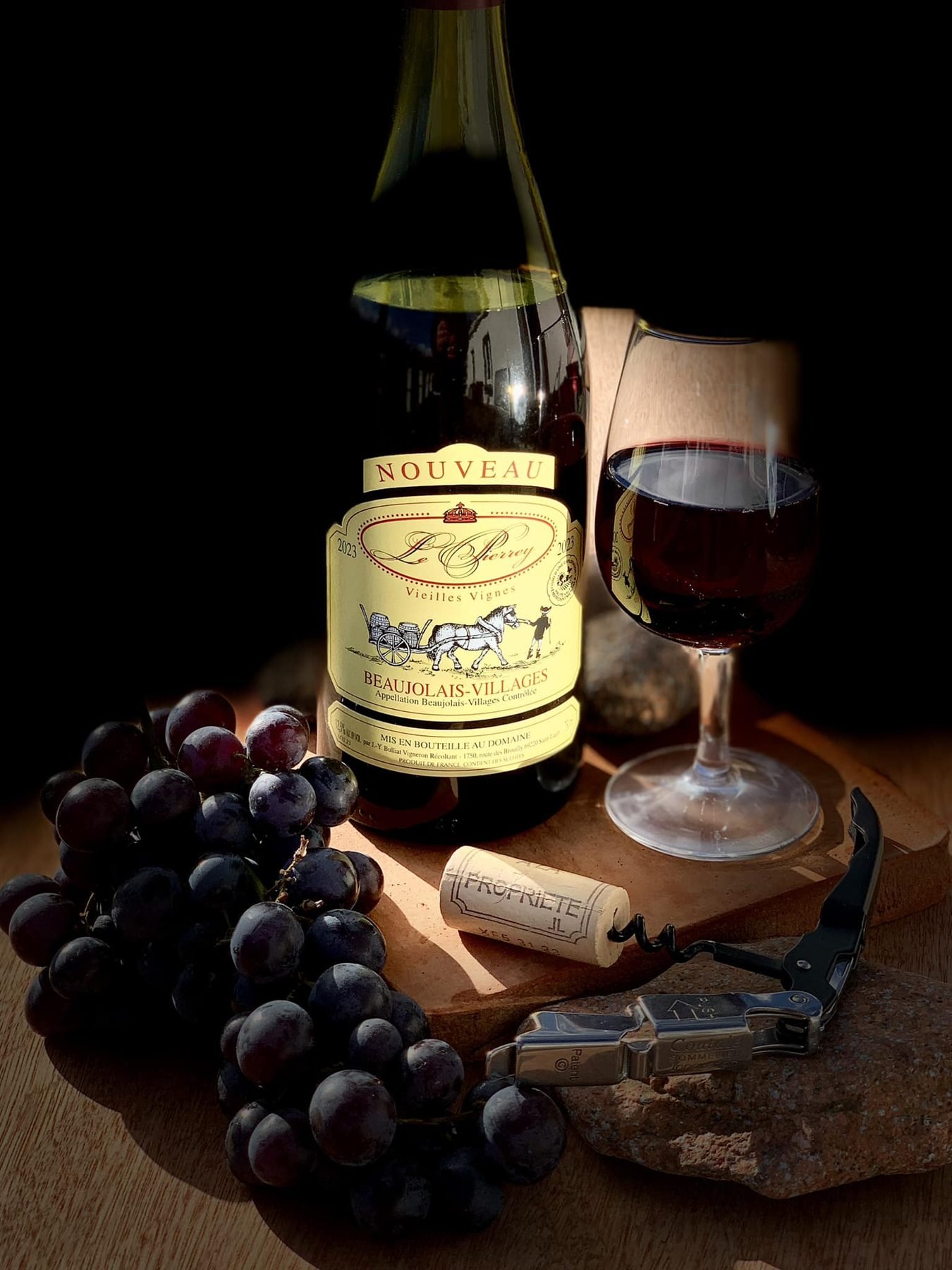 Bouteille de vin mise en scène avec un verre et du raisin